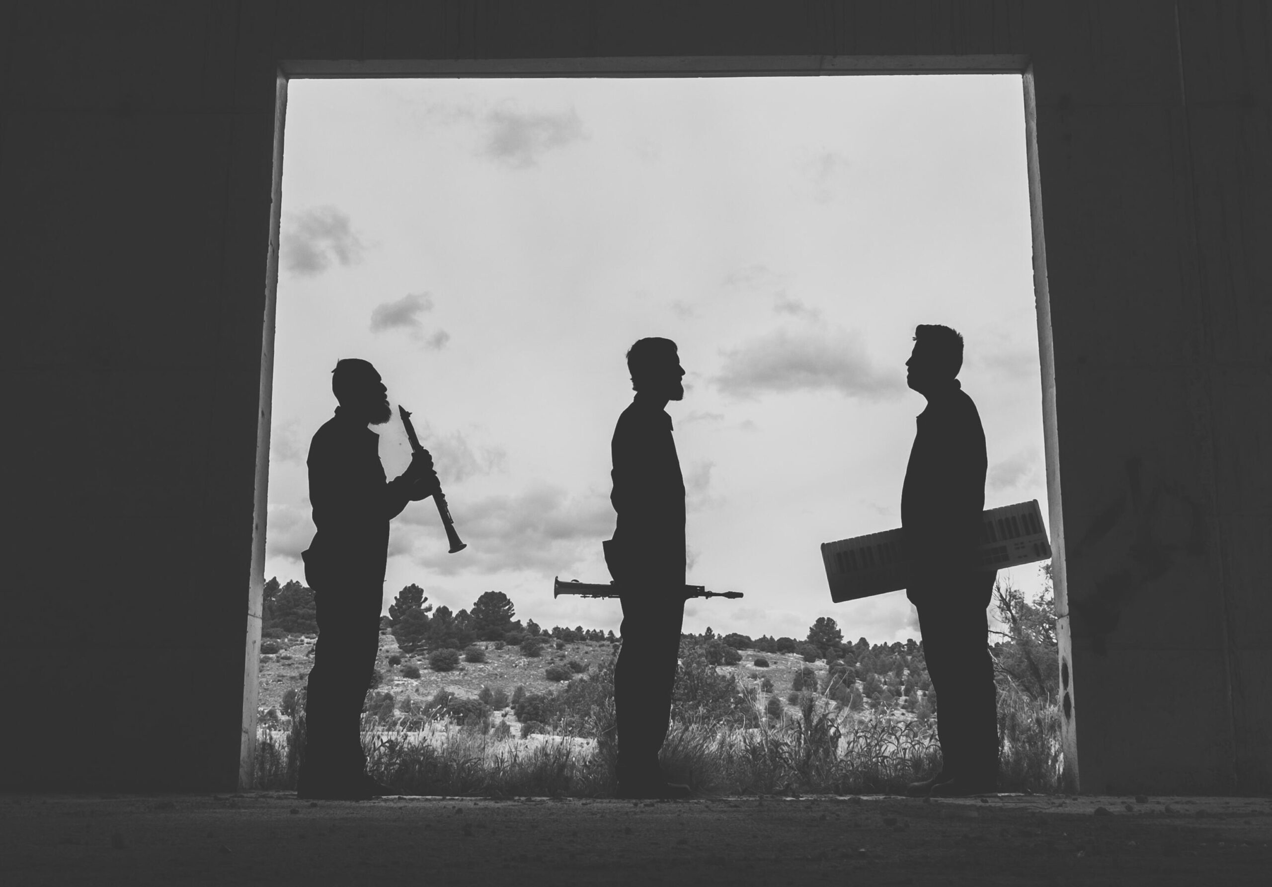 Dini Mueter Trio